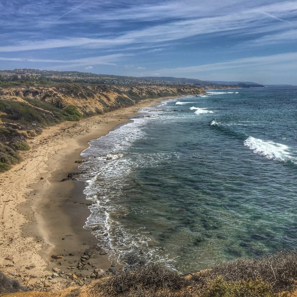 Meet your Posher, Lynette